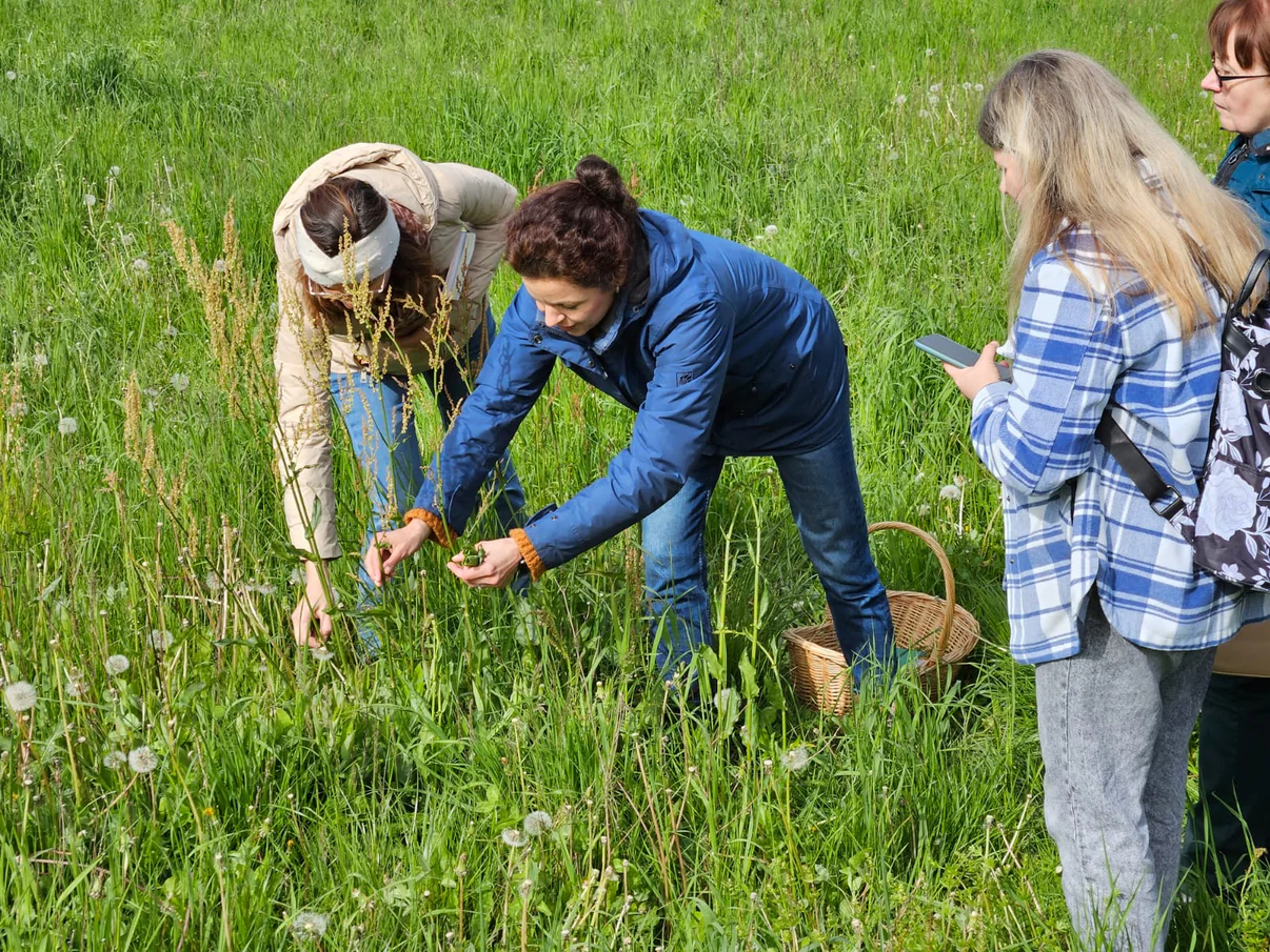 Kräuterführung in Heilbronn mit dipl. Kräuterpädagogin